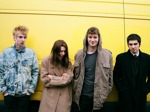 Wolf Alice artist photo