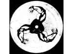 Bicep artist photo