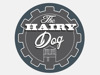 The Hairy Dog photo