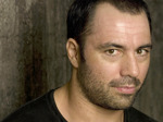 Joe Rogan artist photo