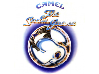 Camel artist photo