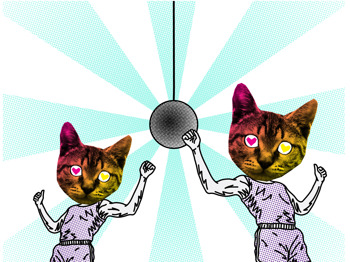 Cat Lovers - First Birthday: Cat Lovers + TCTS + Joey Nelson + Georgie Rogers + LOL Cool J + Mohare + Dems + Mt. Wolf + Box Of Ghosts picture