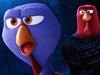 Free Birds