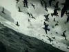 Leviathan