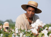 12 Years A Slave