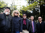 The Magic Band artist photo