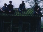 Glass Animals artist photo