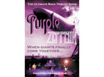 Purple Zeppelin artist photo