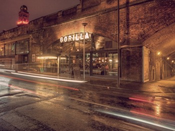 Gorilla venue photo