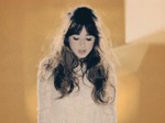 Foxes artist photo