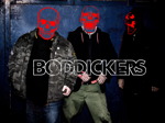 Boddickers artist photo