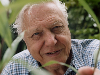 Sir David Attenborough artist photo