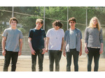 The Orwells artist photo