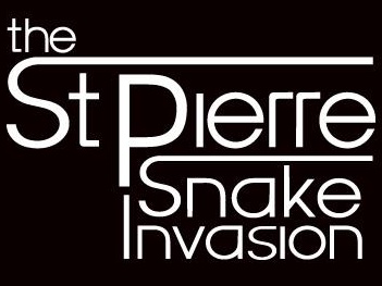 The St Pierre Snake Invasion artist photo