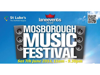 Mosborough Music Festival picture