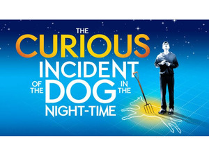 The Curious Incident Of The Dog In The Night-Time (Touring) artist photo