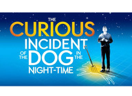 The Curious Incident Of The Dog In The Night-Time (Touring) artist photo