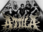 Attila artist photo