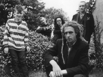 R.D.F (Radical Dance Faction) artist photo