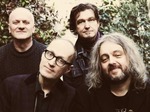Adrian Edmondson & The Bad Shepherds artist photo