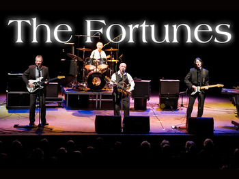 The Fortunes artist photo