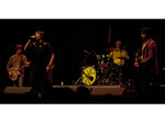 The Clone Roses artist photo