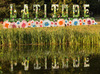 Latitude Festival 2015 announced at Henham Park, Southwold