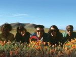 The Growlers artist photo