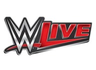 World Wrestling Entertainment (WWE) artist photo