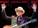 Elvis Costello artist photo