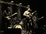 Martin Stephenson & The Daintees artist photo