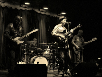 Martin Stephenson & The Daintees artist photo