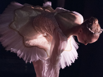 Vienna Festival Ballet artist photo