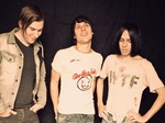 The Cribs artist photo
