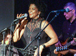 Kat & Co artist photo