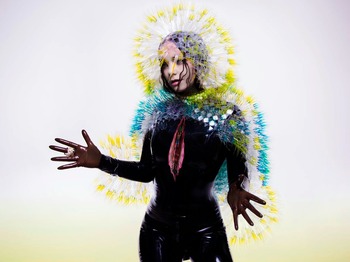 Bjork artist photo