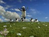 Shaun The Sheep Movie