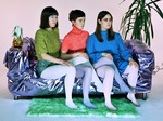 Stealing Sheep artist photo