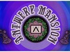 Antwerp Mansion photo