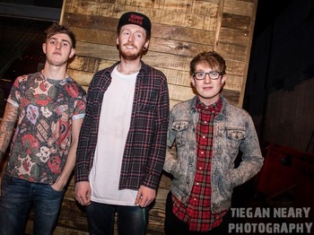The Decoy artist photo