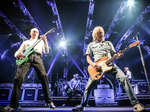 Status Quo artist photo