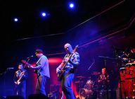 Martin Stephenson & The Daintees artist photo