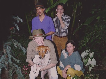 Deerhunter artist photo