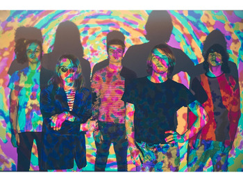 Allusondrugs artist photo