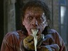 The Fly