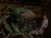 Little Shop Of Horrors