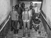 The Dualers tickets now on sale