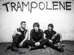 Trampolene artist photo