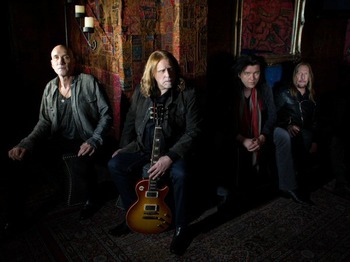 Gov't Mule artist photo