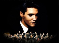 Elvis In Concert - Live On Screen artist photo
